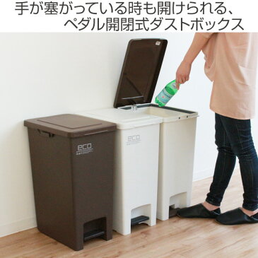【着後レビューで特典プレゼント】 ゴミ箱 45L エバンペダルペール 分別 ふた付き ペダル ( 45リットル キッチン フタ付き ペール 分別ごみ箱 分別ゴミ箱 袋 見えない フック付き 45l ごみばこ くずかご 3分別 おしゃれ )
