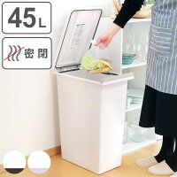 ゴミ箱 45L 密閉 プッシュ式 ふた付き （ 45リットル 45l スリム キッチン 分別 ごみ箱 ダストボックス 臭わない 臭い 縦型 生ゴミ おむつ パッキン 蓋つき プッシュ ペット 赤ちゃん ベビー 介護 フタ付き 袋 見えない シンプル ）