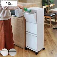 https://thumbnail.image.rakuten.co.jp/@0_mall/livingut/cabinet/maker_asvel4/4974908673238.jpg