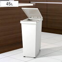 ゴミ箱 45L エバン プッシュペールホワイト プッシュ式 キャスター付き ( ごみ箱 45リットル ワンタッチ ふた付き 縦型 スリム キッチン シンプル EBAN 袋止め付き 袋が見えにくい ダストボックス )