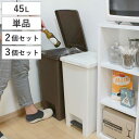 ゴミ箱 エバン ペダルペール 45L ふた付き ( ごみ箱 ペダル式 45リットル 分別 蓋つき プラスチック フタ付き 足踏み 3分別 縦型 ダストボックス ...