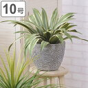プランター グリーンベース 直径31×高さ25cm ( 植木鉢 プラントポット 植物用ポット 鉢 花器 鉢カバー ポット 丸 10号鉢 植木鉢カバー 鉢入れ 植...