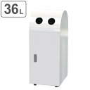 屋内用ゴミ箱 業務用ダストボックス 36L 幅35cm ビン・カン用タイプ リサイクルトラッシュ ( 法人限定 送料無料 ゴミ箱 ダストボックス 屋内 36リットル 分別ゴミ箱 分別 ごみ箱 ごみばこ ビン カン 中容器付き )