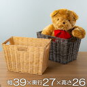 収納 バスケット ラスティー フルサイズ 約 幅39×奥行27×高さ26cm ( かご 小物入れ 収納ケース 籠 カゴ カラーボックス リビング 卓上 インナーボックス 棚上 )