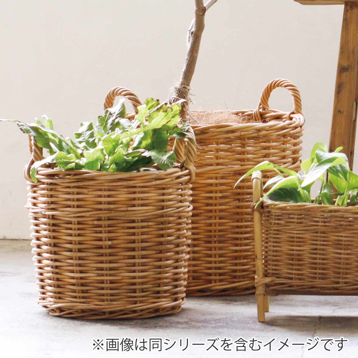 プランターバスケット 8号鉢用 アラログ （ かご カゴ ラタン 天然素材 バスケット プラントポット ラタンバスケット ポット スタンド 鉢ポット 植木鉢カバー 8号鉢 8号 ）