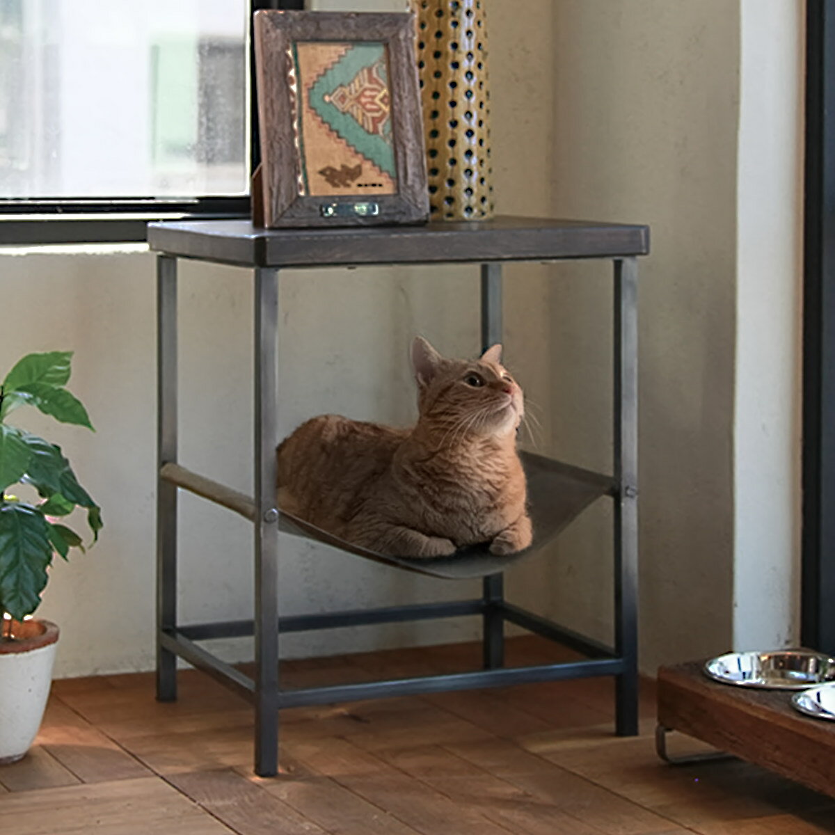 テーブル 猫 ハンモックテーブル LOW （ サイドテーブル ハンモック ペット ベッド 小物収納 アイアン おしゃれ 机 猫ベッド ペットベッド 猫用 ペット用 気持ちいい 心地いい インテリア ）