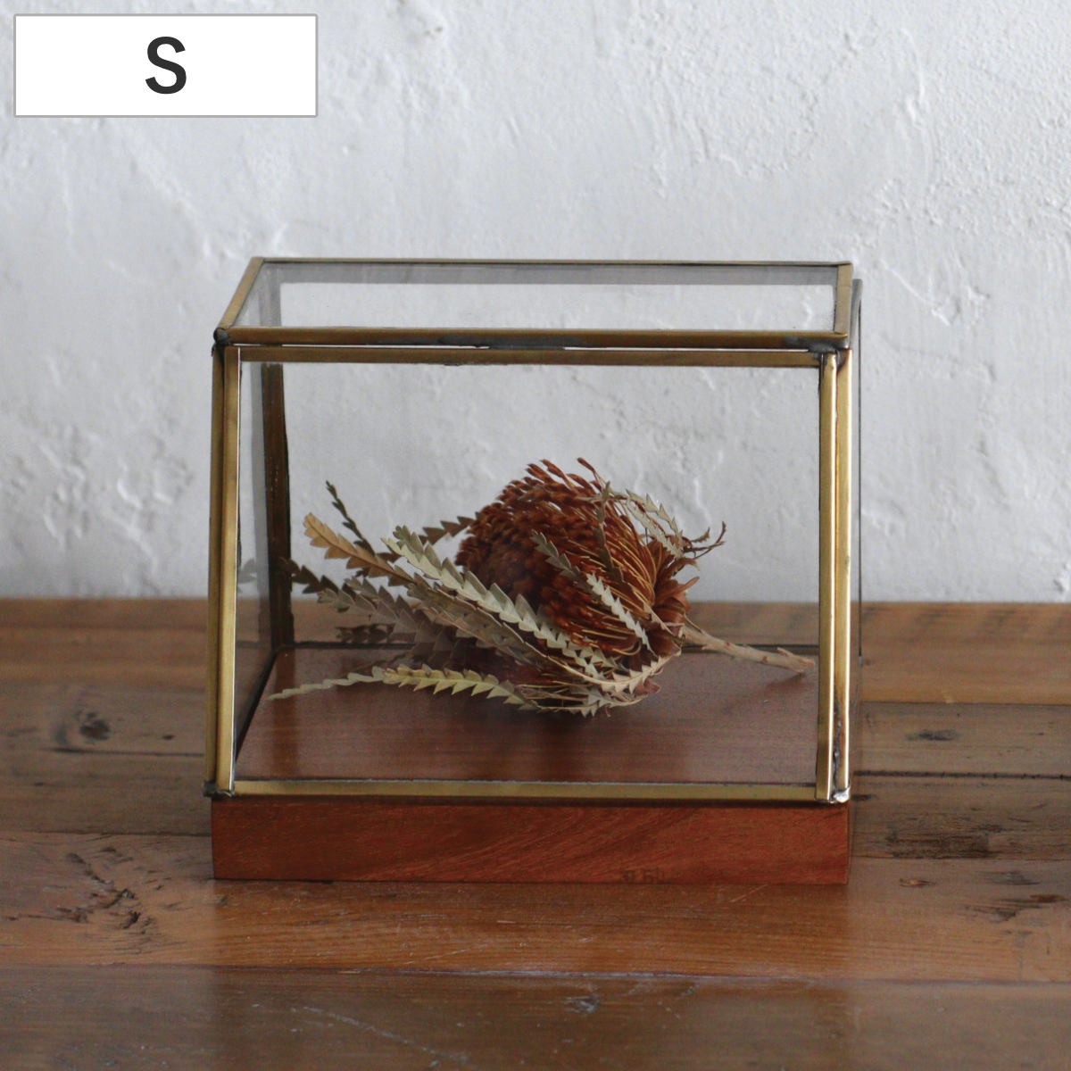 ショーケース アルテン ブラスショーケース S 天然木 アイアン ( ガラス ガラスケース 収納 アクセサリー おしゃれ ゴールド インテリア ディスプレイ デ...