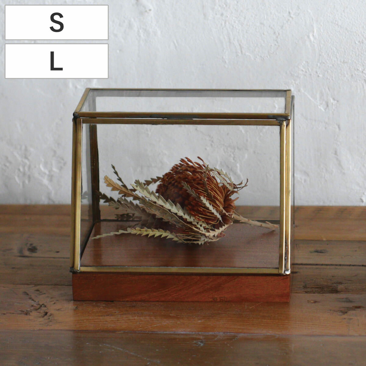 ショーケース アルテン ブラスショーケース S L 天然木 アイアン ( ガラス ガラスケース 収納 アクセサリー おしゃれ ゴールド インテリア ディスプレイ...