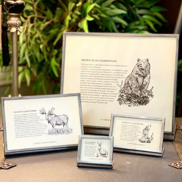 �ե졼�� �᥿�� ��20.5cm ����ȥ� DULTON �� �̿�Ω�� �ե��ȥե졼�� �� �۱� L�� �̿����� �ե��ȥ������ �ݥ��ȥ����� �����ȥե졼�� �᥿��ե졼�� ��˥塼Ω�� �ץ饤��Ω�� ��