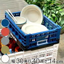 ダルトン DULTON フォールディングメッシュストレージ 幅30×奥行40×高さ14cm ( 収納ボックス コンテナ 収納 折りたたみ 11L バスケット かご 小物収納 カゴ アウトドア キャンプ 小物入れ 車載 工具箱 おしゃれ 頑丈 )
