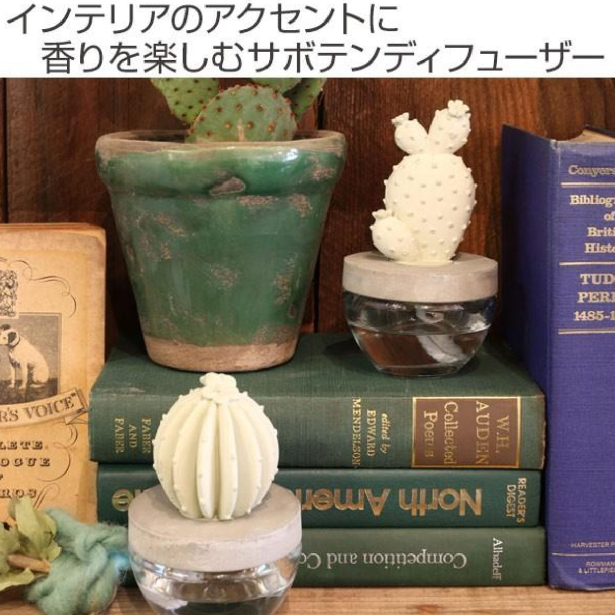 ディフューザー ダルトン DULTON カクタスフレグランスディフューザー サボテン El...