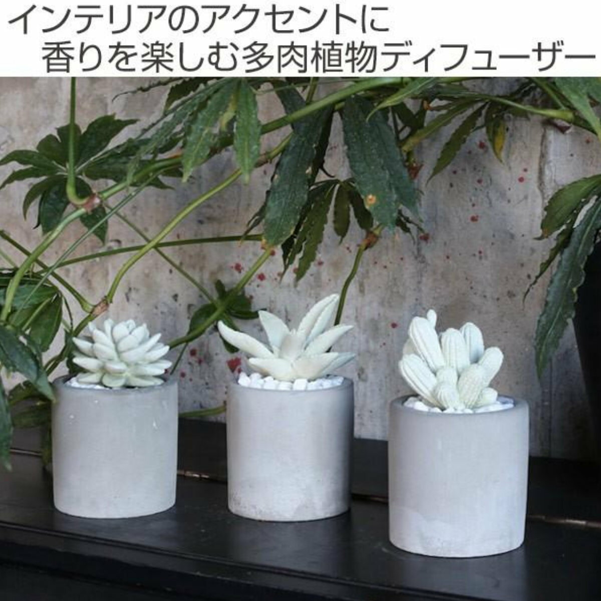 ディフューザー ダルトン DULTON アロエフレグランスディフューザー 多肉植物 アロ...