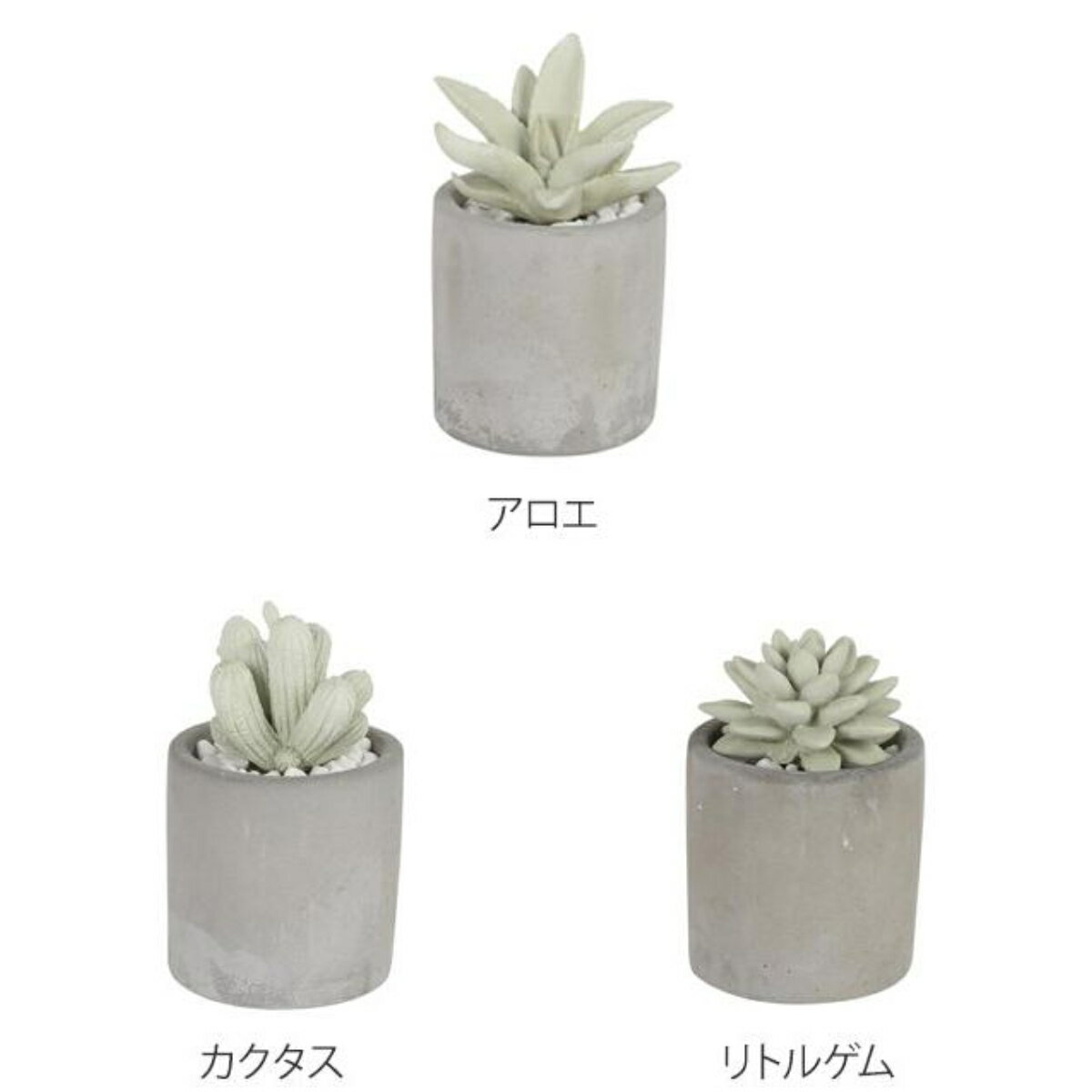 ディフューザー ダルトン DULTON アロエフレグランスディフューザー 多肉植物 アロ...