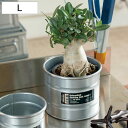 植木鉢 ガルバナイズド デスクトップ タンク L ダルトン ( DULTON 鉢カバー ポットカバー 植木鉢カバー プランター カバー プランターバスケット 円...