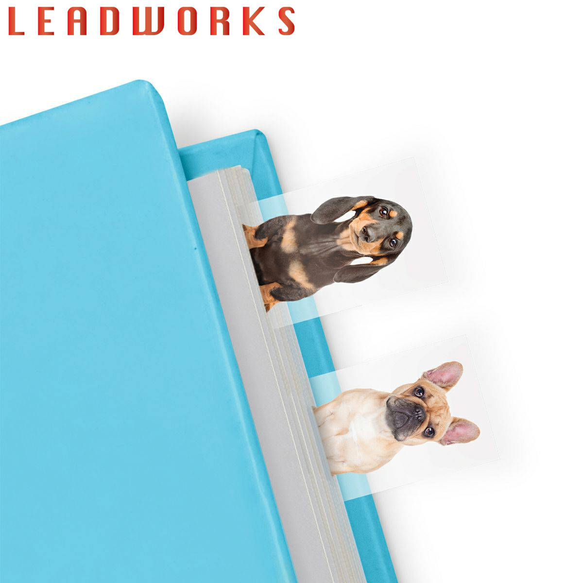 LEADWORKS ��� 150�� ��� �ޥ������� ���ƥ��å��� ����ѻ� �� ��åɥ���� �դ��� ǭ �� �� ������ ����ǥå��� �ܼ� ʸ�� ���� ��...