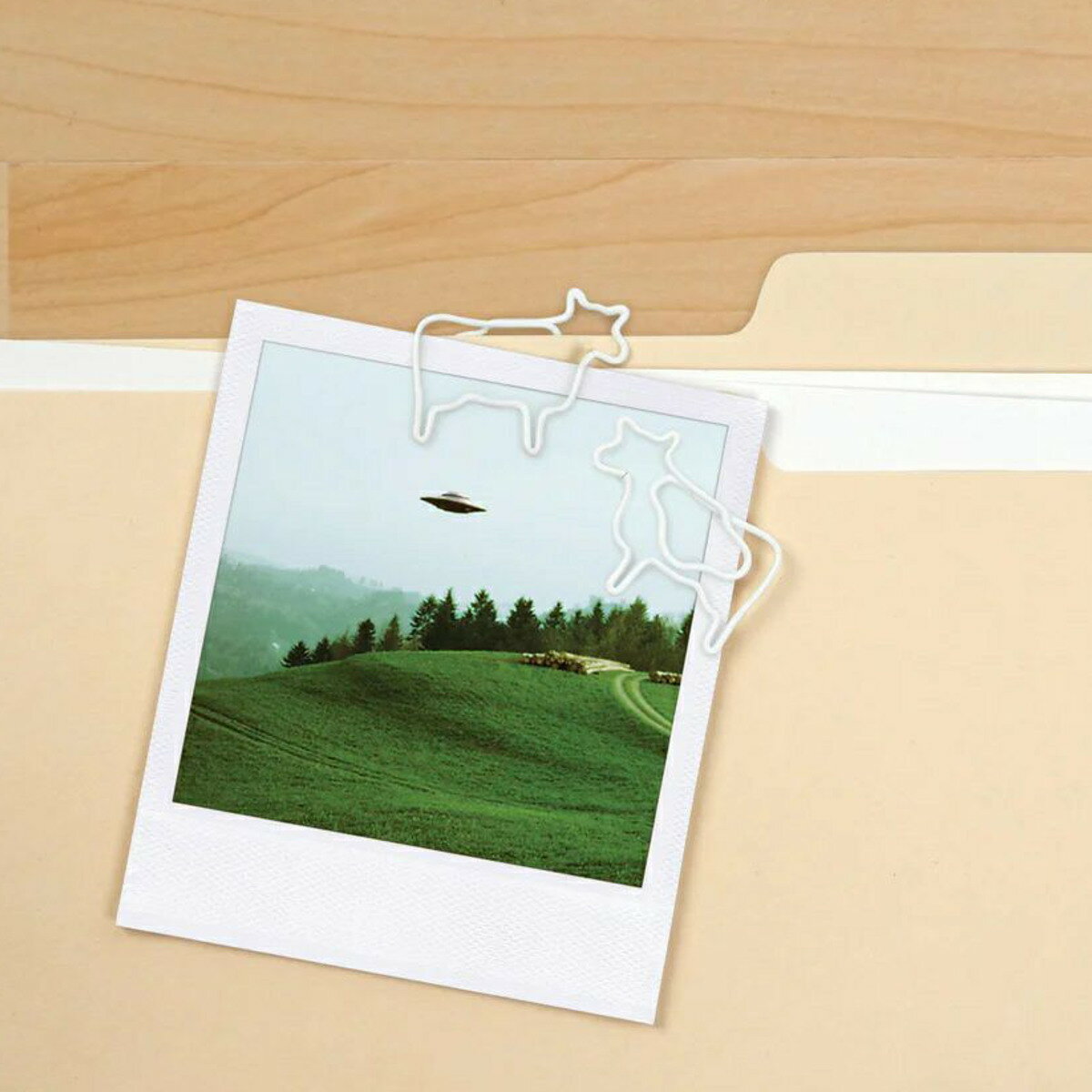 ����å� Fred UFO �� �ץ쥼��� �� �ե�å� ����åץۥ���� ��̳���� ��Ǽ �ǥ��� �ǥ�����Ǽ ����Ǽ ��ʪ��Ǽ ������� ���⤷�� ����ƥꥢ ���֥��� �� �Ĥ��� ���� ��