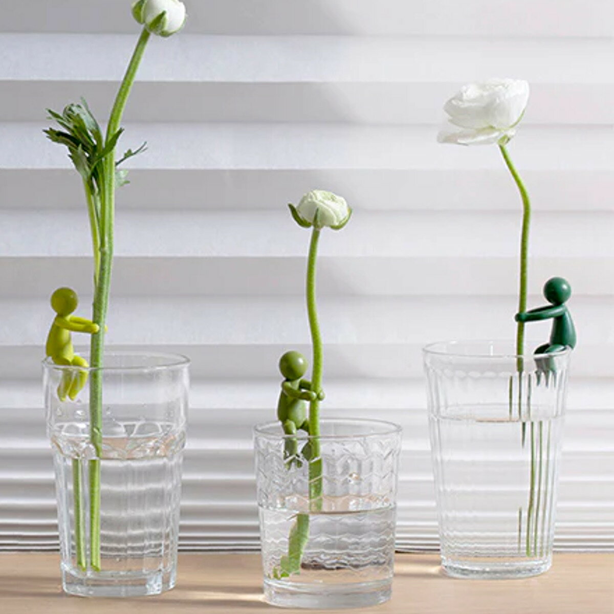 ���ƥ�ۥ���� �ַԥۥ���� Pelegdesign �꡼�ե��� �� �ڥ쥰�ǥ����� �ե�������� �֤Ӥ� �ִ� �ۥ���� �����ޤ� �� ���� ���ݡ��� ������� ���� ��ʪ �֥������ �ե����ݡ��� �ݤ��ɻ� ������� ��