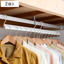ハンガーラック ナナメ掛け用ハンガー 2個入り ( ハンガー 衣類収納 収納 奥行き スリム 衣類ハンガー 省スペース 斜め掛け 日本製 クローゼット収納 斜め...