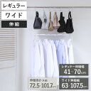 ハンガー 収納アップブランコハンガー 伸縮式 クローゼット レギュラー ワイド ( ブランコハンガー 2段 吊り下げ 収納アップハンガー クローゼット収納 収納アップ 省スペース 収納 衣類収納 大容量 )