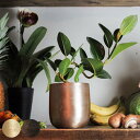 植木鉢 AM3.5ベース アルミ 直径13×高さ13cm ( プラントポット 植物用ポット 花器 鉢カバー ポット 花瓶 丸 植木鉢カバー プラスチック 植物 花 観葉植物 園芸 インテリア 底穴なし 軽量 )