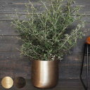 植木鉢 AM8ベース アルミ 直径30×高さ31cm ( 送料無料 プラントポット 植物用ポット 花器 鉢カバー ポット 花瓶 丸 植木鉢カバー プラスチック 植物 花 観葉植物 園芸 インテリア 底穴なし 軽量 )