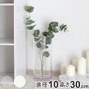 花瓶 割れないガラス PVシリンダー 直径10×高さ30cm ( 花びん 花器 シリンダー フラワーベース 透明 割れない ベース フラワー 花 飾る 円筒 円柱 ポリカーボネート プラ キャニスター クリア ホワイト われない )