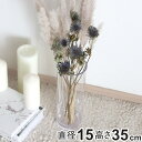 花瓶 割れないガラス PVシリンダー 直径15×高さ35cm ( 花びん 花器 シリンダー フラワーベース 透明 割れない 円筒 円柱 ポリカーボネート キャニスター クリア 花 植物 切花 フェイク グリーン 枝 インテリア おしゃれ )