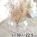 花瓶 割れないガラス PV球形 直径30×高さ22.5cm ( 花びん 花器 フラワーベース 球型 丸 鉢 透明 割れない ポリカーボネート プラ クリア 花 植物 植木鉢 苔 グリーン 金魚鉢型 インテリア おしゃれ 丈夫 )