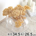 花瓶 割れないガラス PV球形 直径34.5×高さ26.5cm ( 花びん 花器 フラワーベース 球型 丸 鉢 透明 割れない ポリカーボネート プラ クリア 花 植物 植木鉢 苔 グリーン 金魚鉢型 インテリア おしゃれ 丈夫 )
