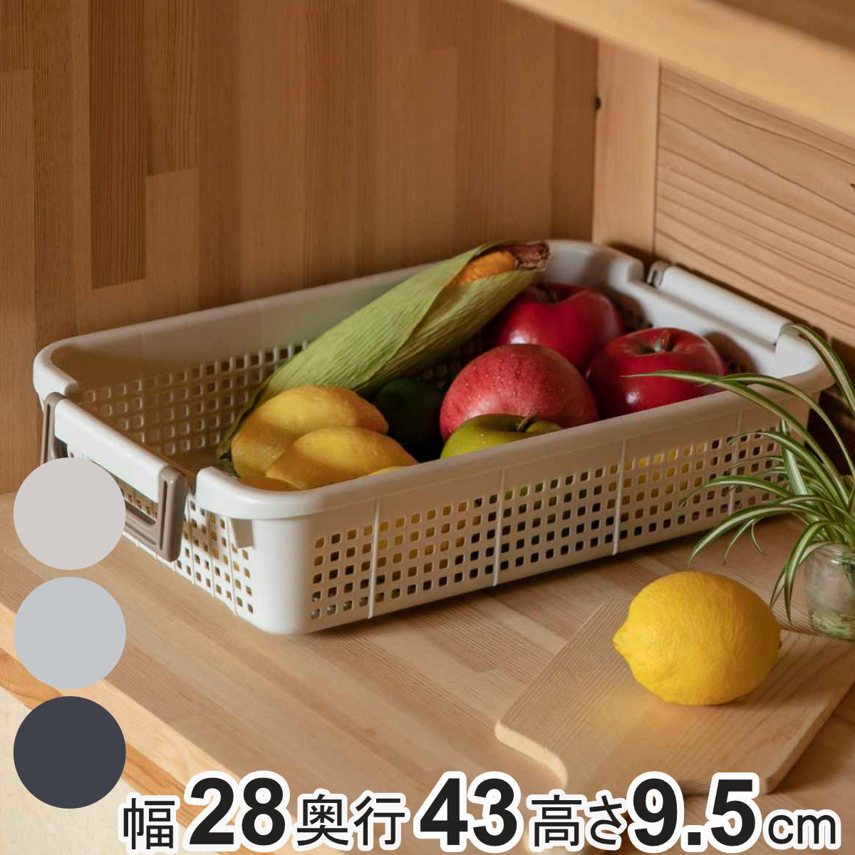 �Х����å� MS ��28�߱���43�߹⤵9.5cm �����å��� �� ��Ǽ������ �Ѥ߽Ť� ��Ǽ�ܥå��� �������դ� ��Ǽ ������ �ܥå��� ��Ǽ�Х����å� ��...