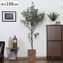 フェイクグリーン ユーカリ 高さ150cm ジョイント式 ( 人工観葉植物 大型 樹木 造花 人工樹木 観葉植物 アートグリーン 水やり不要 お手入れ簡単 植物...