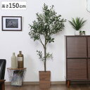 フェイクグリーン オリーブ 高さ150cm ジョイント式 ( 人工観葉植物 大型 樹木 造花 人工樹木 観葉植物 アートグリーン 水やり不要 お手入れ簡単 植物...