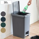 ゴミ箱 30L 2WAY ダストボックス ( ごみ箱 30リットル 幅30 ペダル式 プッシュ式 ふた付き 分別 角型 ワンプッシュ 大容量 キッチン 袋止め付...