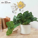 フェイクグリーン モンステラ 高さ33cm セラミックポット ( 観葉植物 フェイク 人工観葉植物 造花 植物 鉢植え アートグリーン 水やり不要 お手入れ簡単...