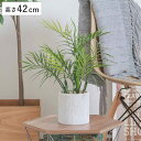 フェイクグリーン テーブルヤシ 高さ42cm ペーパーポット ( 観葉植物 フェイク 人工観葉植物 造花 植物 鉢植え アートグリーン 水やり不要 お手入れ簡単...