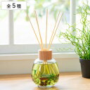 リードディフューザー B-nature ビーネイチャー 530ml ( ディフューザー アロマディフューザー ガラス 芳香剤 箱入り スティック ハーバリウム ...