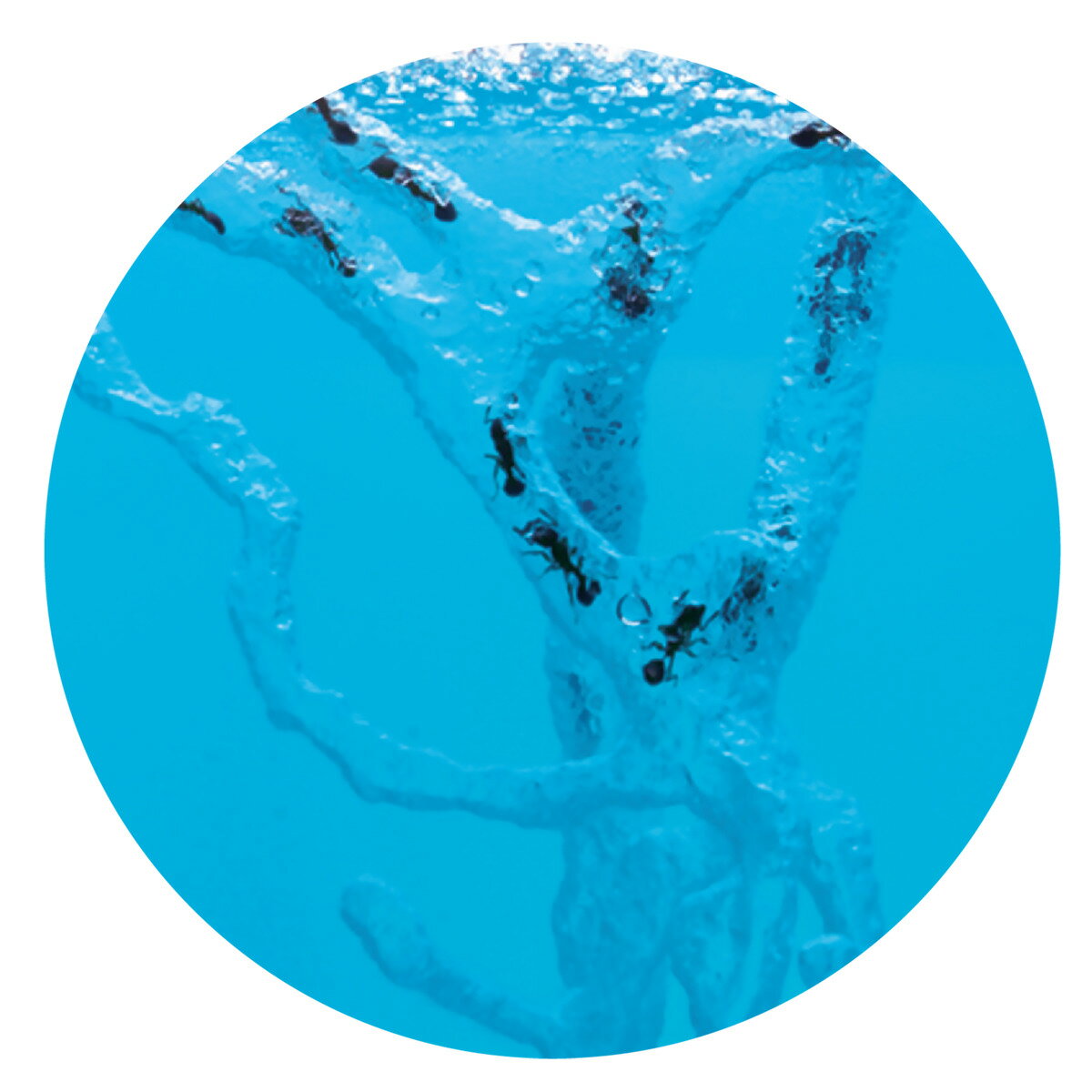 �ѻ����å� �������ѻ����å� �ޤʤӤä� ��ͳ���� �� ������� �ѻ� �� �� ���饻�å� �Ƶ٤� ��ͳ ���� ������ �Ҥɤ� ���å� �Ļ� Ω�δѻ� �¸� �ؽ� �ΰ� ��ʪ ����ʪ ���� ������ ��