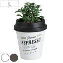 プランター 植木鉢 フラワーポット アンポルテ コーヒーカップ L ガーデンポット ホワイト ( カフェ カップ 鉢 花 緑 ガーデニング グリーン 植物 園芸...