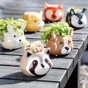 プランター アニマル ポット ( 植木鉢 プラントポット 陶器 鉢植え 鉢 寄せ植え 動物 顔 丸型 ミニ 小さい 底穴 園芸 インテリア フラワーポット ガー...