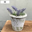 植木鉢 モスティーク コニックポット M 直径14.5cm フラワーポット ( プラントポット プランターポット 鉢 鉢植え セメント ポット 穴あり 水抜き穴...