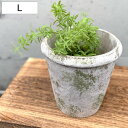 植木鉢 モスティーク コニックポット L 直径16cm フラワーポット ( プラントポット プランターポット 鉢 鉢植え セメント ポット 穴あり 水抜き穴 イ...