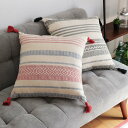 クッション TERRA テラ インド綿 背当てクッション 45×45cm レッド ( 座布団 ざぶとん 四角 椅子 フロアクッション 背当て コットン シートク...