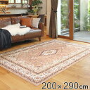 ラグ 撥水加工付き 転写プリントラグ ブルグ 200×290cm ( 送料無料 カーペット 絨毯 マット ラグマット 撥水加工 滑り止め 洗える 床暖 ホットカーペット お掃除ロボ 対応 高級感 リビング ダイニング )(3)