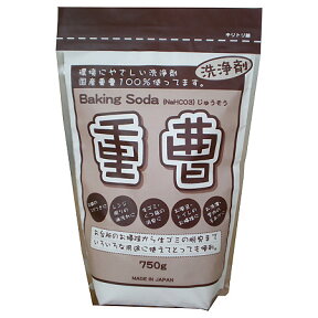 重曹 掃除 750g（ 地の塩社 油汚れ ナチュラル洗剤 ナチュラルクリーニング 掃除 キッチン エコ掃除 洗剤 台所 IHガスレンジ掃除 ナチュラル洗剤 ）