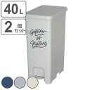 ゴミ箱 40L 同色2個セット ペダルペール アースカラー ( ごみ箱 40リットル 幅25 分別 ペダル式 ダストボックス ふた付き 蓋付き 踏み蓋 ペダル ...