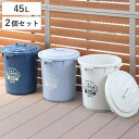 ゴミ箱 45L 同色2個セット カラーペール アースカラー ( ごみ箱 45リットル 同色 2個 大容量 ふた付き 屋外 丸型 ペール 分別 収納 外用ゴミ箱 大きい 筒型 ストック 清掃用品 アウトドア用品 DIY用品 園芸用品 おしゃれ )