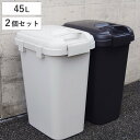 ゴミ箱 45L 同色2個セット ハンドル付きジョイントペール ( ごみ箱 45リットル 連結 屋外 ふた付き ロック 分別 無地 シンプル 袋止め付き 大容量 大きい プラスチック )