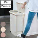 ゴミ箱 45L 2個セット ペダルペール フタの開く向きを選べる パッキン付き ( ごみ箱 45リットル ペダル 左開き 右開き 変えられる 薄型 スリム 踏み蓋 ニオイ漏れ防止 キャスター付 マット カラー かわいい )