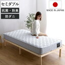 マットレス セミダブル フランスベッド 抗菌防臭 防ダニ 日本製 2年保証 ( 硬め 高密度スプリング 両面仕様 厚さ20cm 寝返りしやすい 通気性 耐久性 )(3)