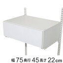 壁面収納 フィットラック 引き出し1段 フラットタイプ 幅75cm ( 送料無料 パーツ オプション 部品 DIY 収納 小物収納 小物入れ 引き出し 壁掛け ...